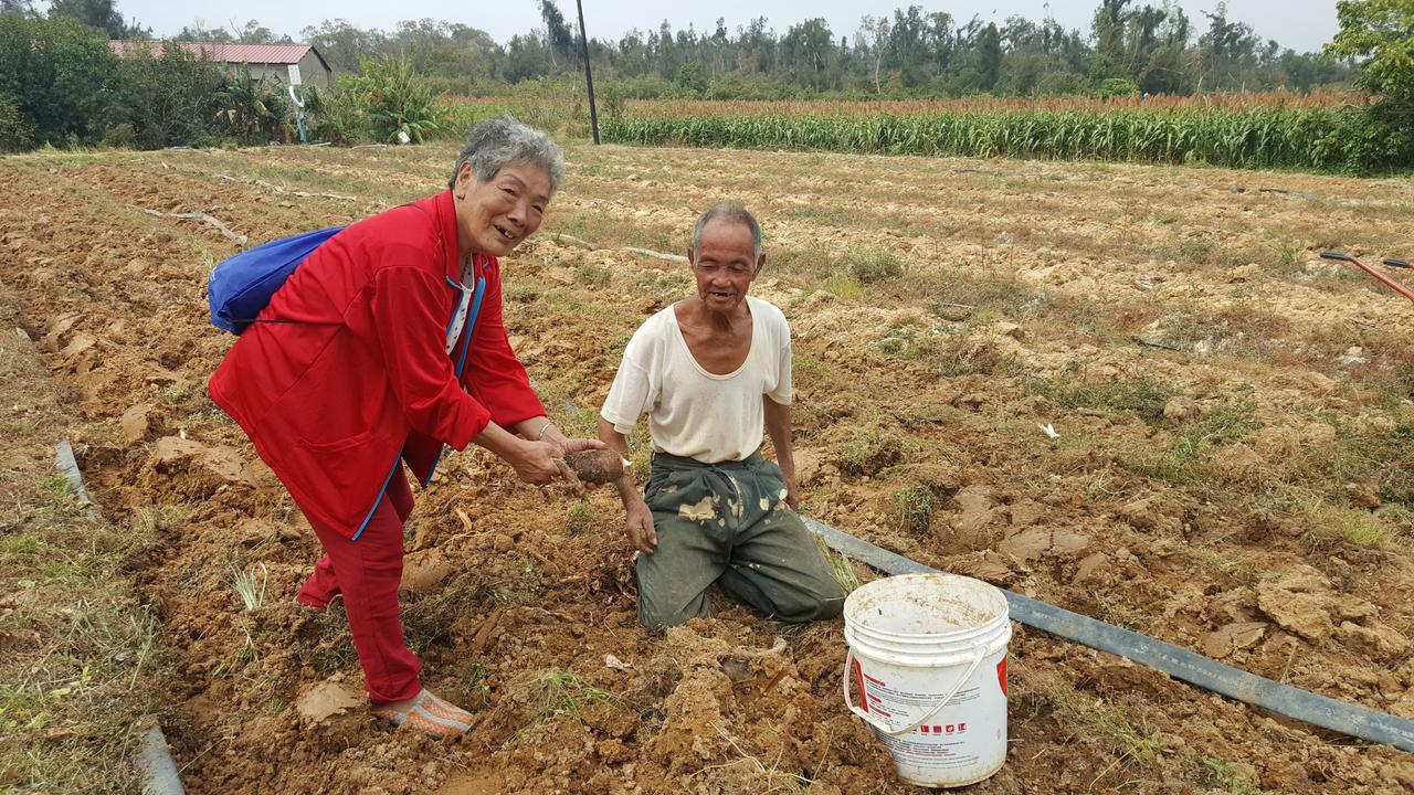 Qg Life 城中館 寵物親子釣魚人民宿 Цзиньчэн Экстерьер фото